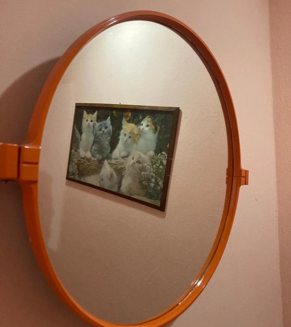 Neo Apartments Tirana Guest house