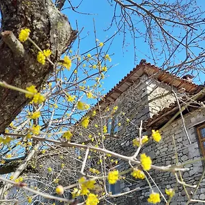  Gasthof Bujtina Tusha